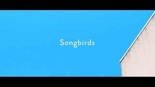 Homecomings  Songbirds（Official Music Video） [upl. by Charters]