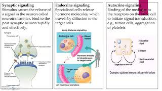 Intercellular and Intracellular signalling pathway part1 [upl. by Carlin]