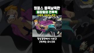 원피스 전투력이 너무 들쭉날쭉한 중장들 [upl. by Eidok318]