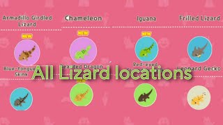 All Lizards Locations real time  Play Together Lizard Hunt [upl. by Durston147]