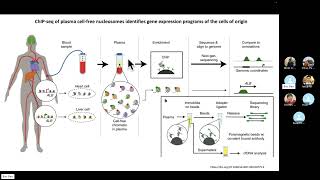 JCS 39 Histone modifications in nucleosomes affect cellfree DNA fragmentation [upl. by Dew]