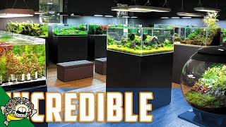 The BEST Aquascaping Store in the WORLD [upl. by Jerrold721]