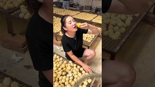 I was Surprised to See Her Eating Halfboiled Eggs 🥚🥚 shorts youtubeshorts egg [upl. by Nerol]