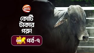 গরুর দাম কেন ১ কোটি টাকা  Sadeeq Agro  হাউ Cow শো  পর্ব  ৭  Channel 24 [upl. by Moyer121]