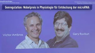 Nobelpreis für Physiologie 2024 für die Entdeckung der mikro RNA [upl. by Nahoj851]