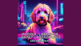 Poodle Labrador Happy Labradoodle Arcade Girl [upl. by Arihay]