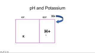 Ajay Kher  Basics of potassium handling [upl. by Acired666]