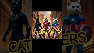 Catengers  Ironmeow blackCat CatTain America  Cute kitten kucinglucu cat [upl. by Nivlek]