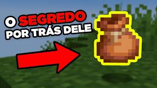 20 Coisas sobre a BUNDLE Trouxa no MINECRAFT 122 [upl. by Nitas]