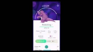 nidorino evolution  pokemon go  nidoking evolution [upl. by Cyril]