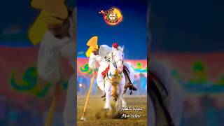 Neza Bazi In Pakistan 2024 nezabazi horseriders equestrian horseriding youtubeshorts horsegirl [upl. by Lim]