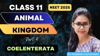 PHYLUM COELENTERATA  CNIDARIA  Animal kingdom L4  class 11  Neet 2025  Poonam Choudhary [upl. by Zulaledairam868]