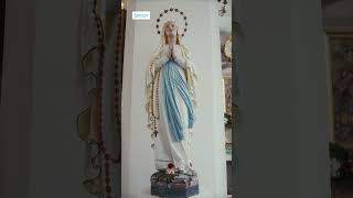 Mensaje extraordinario de la Virgen de Medjugorje al vidente Ivan 20 de octubre 2023 shorts [upl. by Barnes]