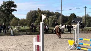 HARAS DU LANNOY  Laurine amp Unamour  Club 3  Château d’Hem 0610 [upl. by Atirehgram]