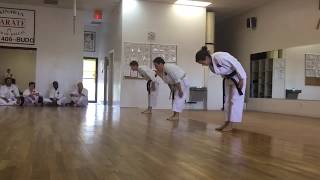 Kusanku Dai performed by the Okinawan Karate Club of Dallas [upl. by Heman]