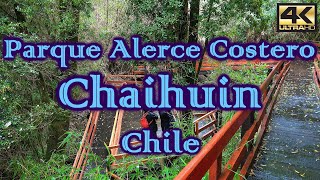 Parque Alerce Costero Sector Chaihuin – CHILE 4K [upl. by Artair403]