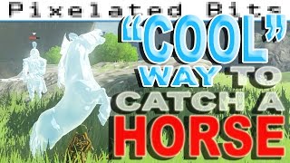 FASTEST amp EASIEST WAY to catch a HORSE in ZELDA Breath of the Wild [upl. by Rea]