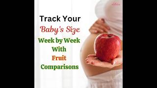 Fetal Development Week By Week  Baby Size Comparison With Fruits [upl. by Dahs]