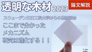 【論文2023】透明な木材 wiseampLPMO酵素 [upl. by Nytsyrk]