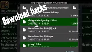 Graal Era Hacking  How To download [upl. by Am]