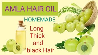 AMLA HAIR OIL HOMEMADE  BENEFITS OF AMLA OIL [upl. by Saxon112]