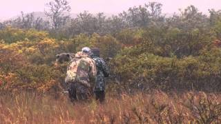 SCI 1 ARCHERY BROWN BEAR AT 5 YDS [upl. by Sherborn759]