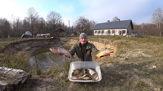 ВЫРАЩИВАЮ НЕ ТОЛЬКО ПОРОСЯТ и ОВЕЦ НО И РЫБУ МОЯ ЖИЗНЬ в ГЛУХОЙ ДЕРЕВНЕ на КРАЮ ЛЕСА №324 [upl. by Letnom]