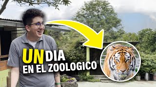 Un día camellando en un zoológico 😱 Le di de comer a los leones 🦁👇  Jeffer Valdiviezo [upl. by Ekle]