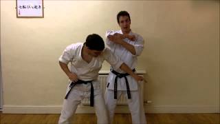 Kata Bunkai Video Tutorial 02  Pinan Heian Godan Kata [upl. by Tuinenga326]