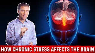 How Chronic Stress Affects Your Brain – DrBerg [upl. by Atsirak]