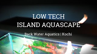 IslandStyle Planted Aquarium Setup Guide StepbyStep Tutorial 2023 [upl. by Spatz209]