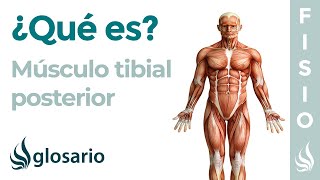 FRACTURA de TIBIA y PERONÉ Rehabilitación ejercicios y tiempo de recuperación [upl. by Zevahc]