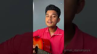 සීතල පවනැල්ලක් වීලා 😍  Pawasanna නාදුනන ලෙස  coversong song music [upl. by Arelus]