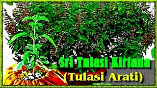 SRI TULASI KIRTANA [upl. by Ymmaj]