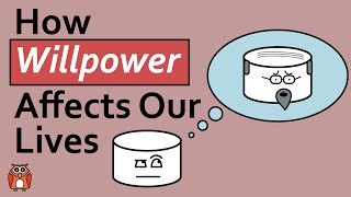 The Marshmallow Test  How Willpower Affects Our Lives [upl. by Joiner]