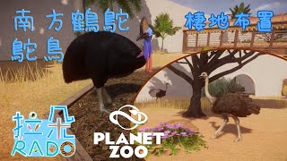 過了這麼久 終於要布置大鳥區了 動物園之星 博物館 [upl. by Adi]