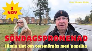 20241103 SÖNDAGSPROMENAD  Himla tjat om ostsmörgås med paprika [upl. by Mccourt]