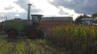 FD CUMA MORBIHAN  Ensilage maïs octobre 2014 CUMA Néantaise Néant sur Yvel [upl. by Nyladnor]