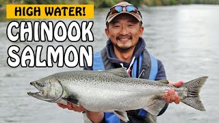 HIGH WATER CHINOOK SALMON AND MUSHROOM FORAGING Somass River on Vancouver Island  Fishing with Rod [upl. by Nimad149]