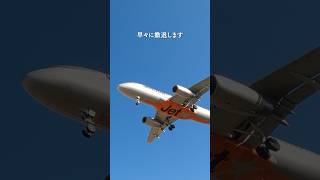 【横堀鉄塔】成田空港のど真ん中に残る三里塚闘争の爪痕 成田空港 昭和 shorts [upl. by Koch]