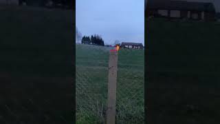 Das ist noch ein sehr alter Böller von 2009 2010 müsste er sein silvester pyro firecracker [upl. by Dahraf267]