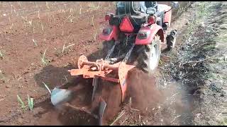 Massey Ferguson 6028 28 hp 4WD with sugar cane implement [upl. by Ayotan49]