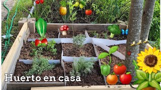 Como crear tu huerto de verduras en casa [upl. by Dnalsor]