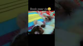 smoke ny book phar di 😡🥺subscribe cat catlover [upl. by Cranford]