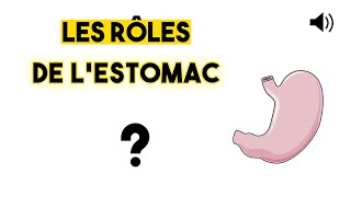 LESTOMAC  Anatomie et physiologie [upl. by Crane]