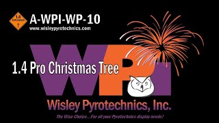 Wisley Pyrotechnics Inc AWPIWP10 Christmas Tree 14 Pro Firework [upl. by Lemcke618]