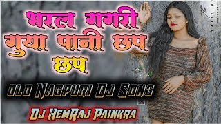 Bharal Gagri Guiya Paani Chap Chap Reold nagpuri dj song 2024singer pawan Roydj HemRaj Painkra [upl. by Marmaduke148]