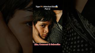 Part 2 Life of Pi Movie Explanation Hindi  Tiger🐅 Attacked But😱 shorts movie shortsfeed [upl. by Centeno]