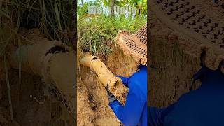 From Blocked to Clear Mastering Drain Pipe Unclogging shorts unclog video viralvideo [upl. by Nordgren]