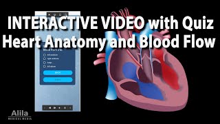 NEW INTERACTIVE VIDEO Heart Anatomy and Blood Flow [upl. by Clyte]